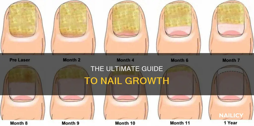 how long does nail