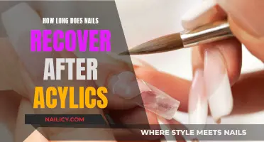 Regrowing Nails Post-Arylics: A Timeline for Recovery