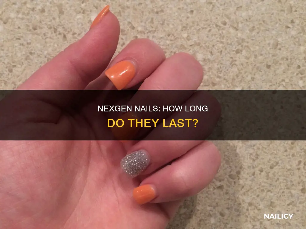 how long does nexgen nails last