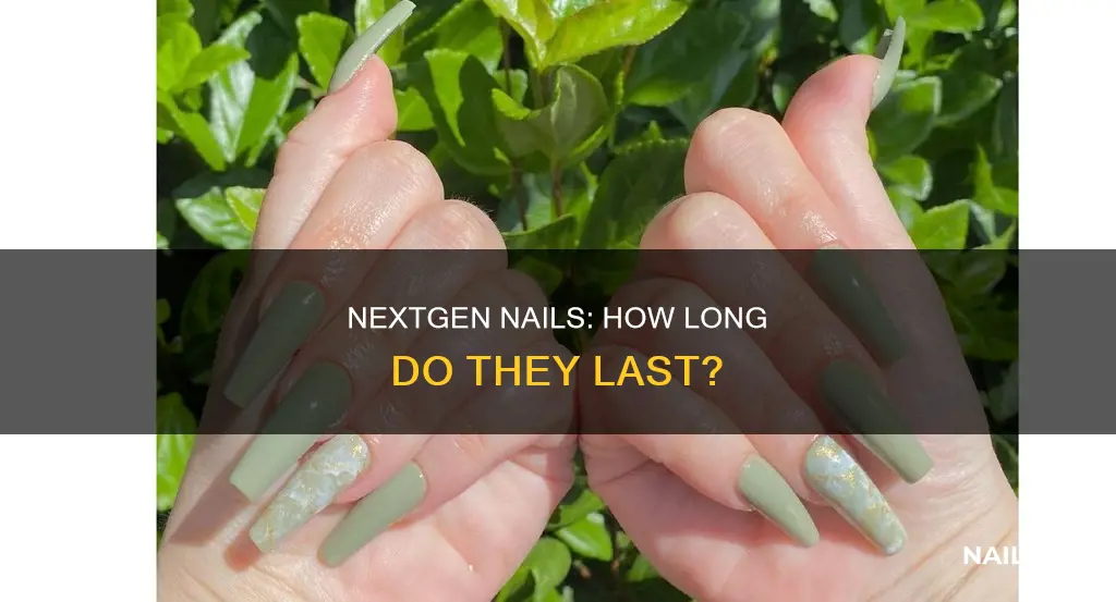 how long does nextgen nails last