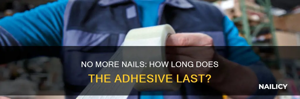 how long does no more nails last once opened