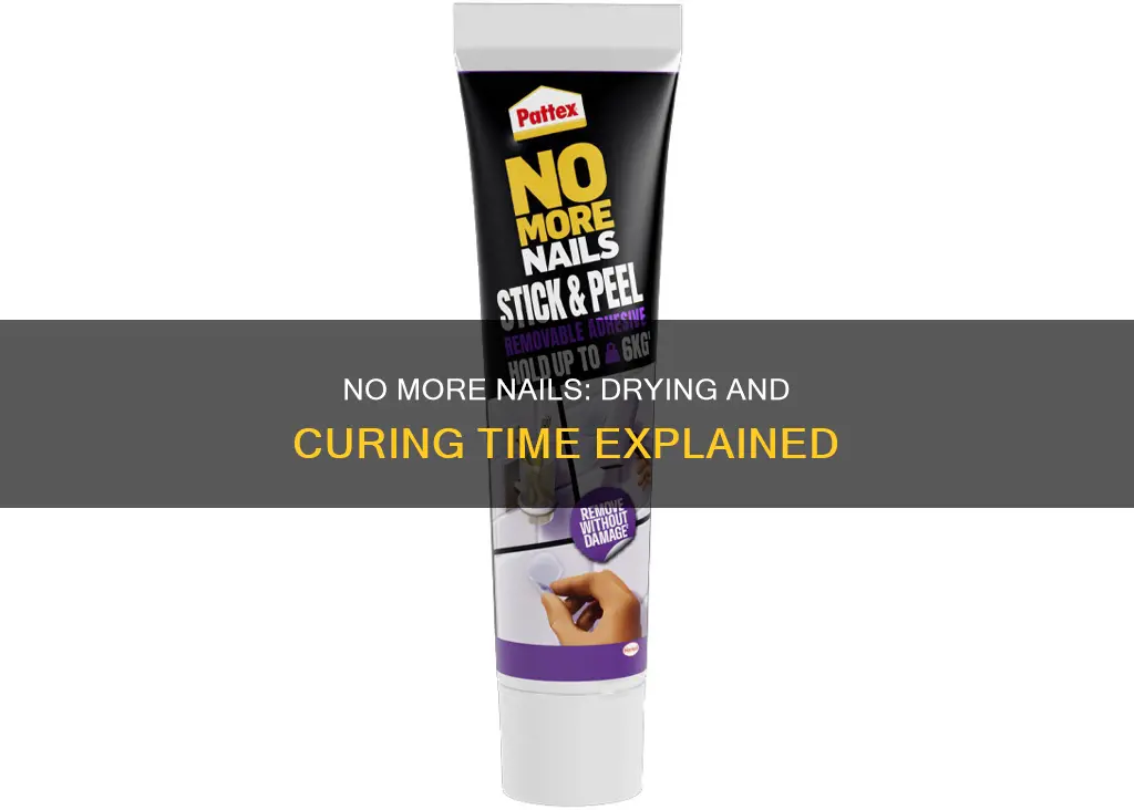 how long does no more nails take to cure
