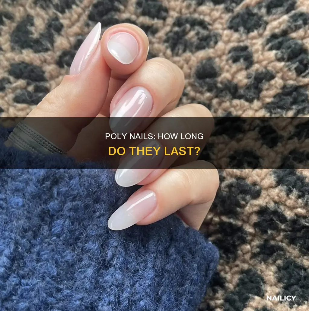 how long does poly nails last