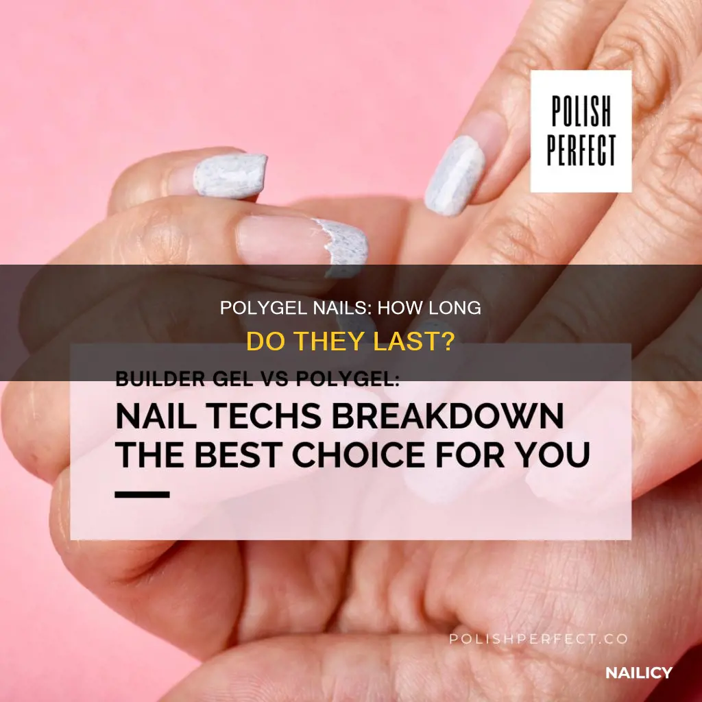 how long does polygel last on nails