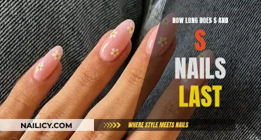 The Longevity of S&S Nails: How Long Do They Last?