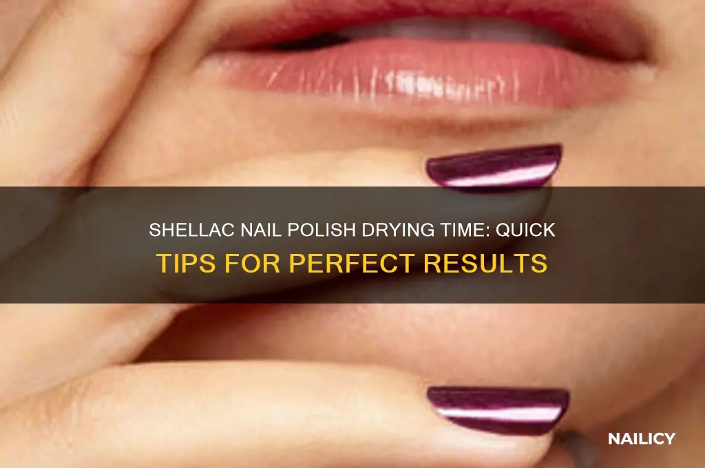how long does shellac nail polish take to dry