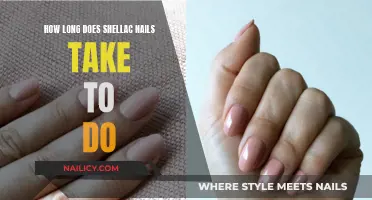 Shellac Nails: Quick, Easy, and Long-Lasting Manicure