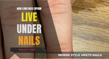 Sperm Survival Under Nails: How Long?