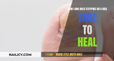 Healing Process After Stepping on a Nail: Timeline and Care
