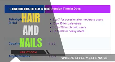 THC in Hair and Nails: How Long Does It Stay?
