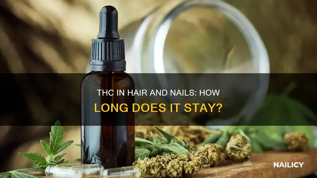 how long does thc stay in your hair and nails