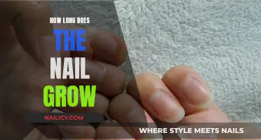 Nail Growth: How Long Does It Take?