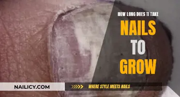 Nail Growth: How Long Does it Take to Get Longer Nails?