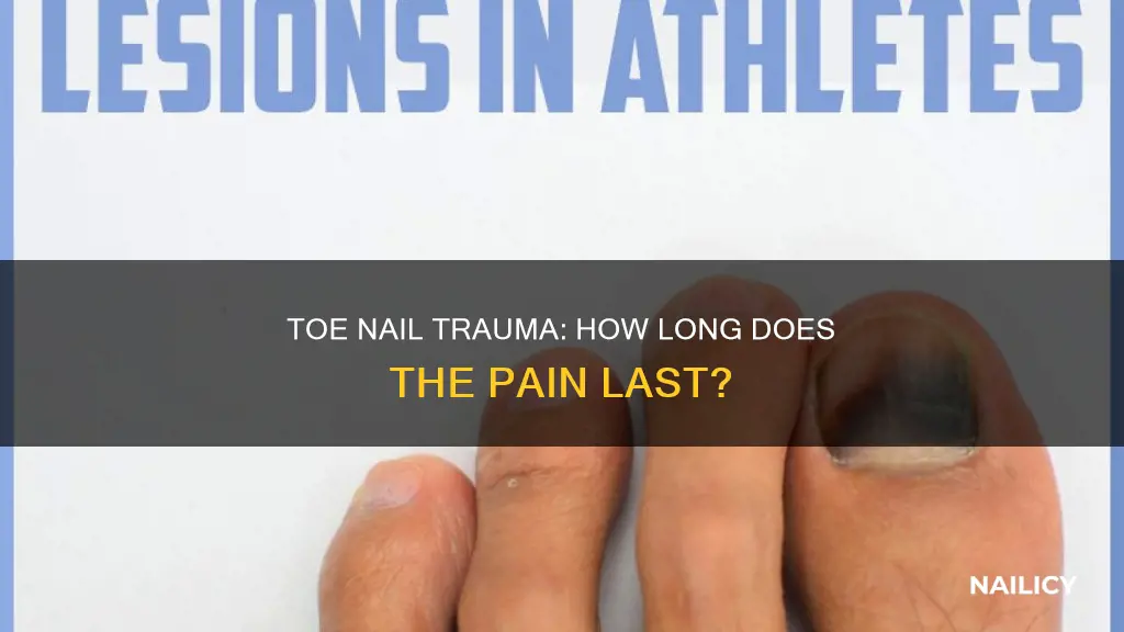how long does trama under the toe nail last