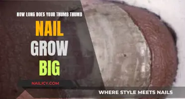 Your Thumbnail Growth: How Long Does It Take?