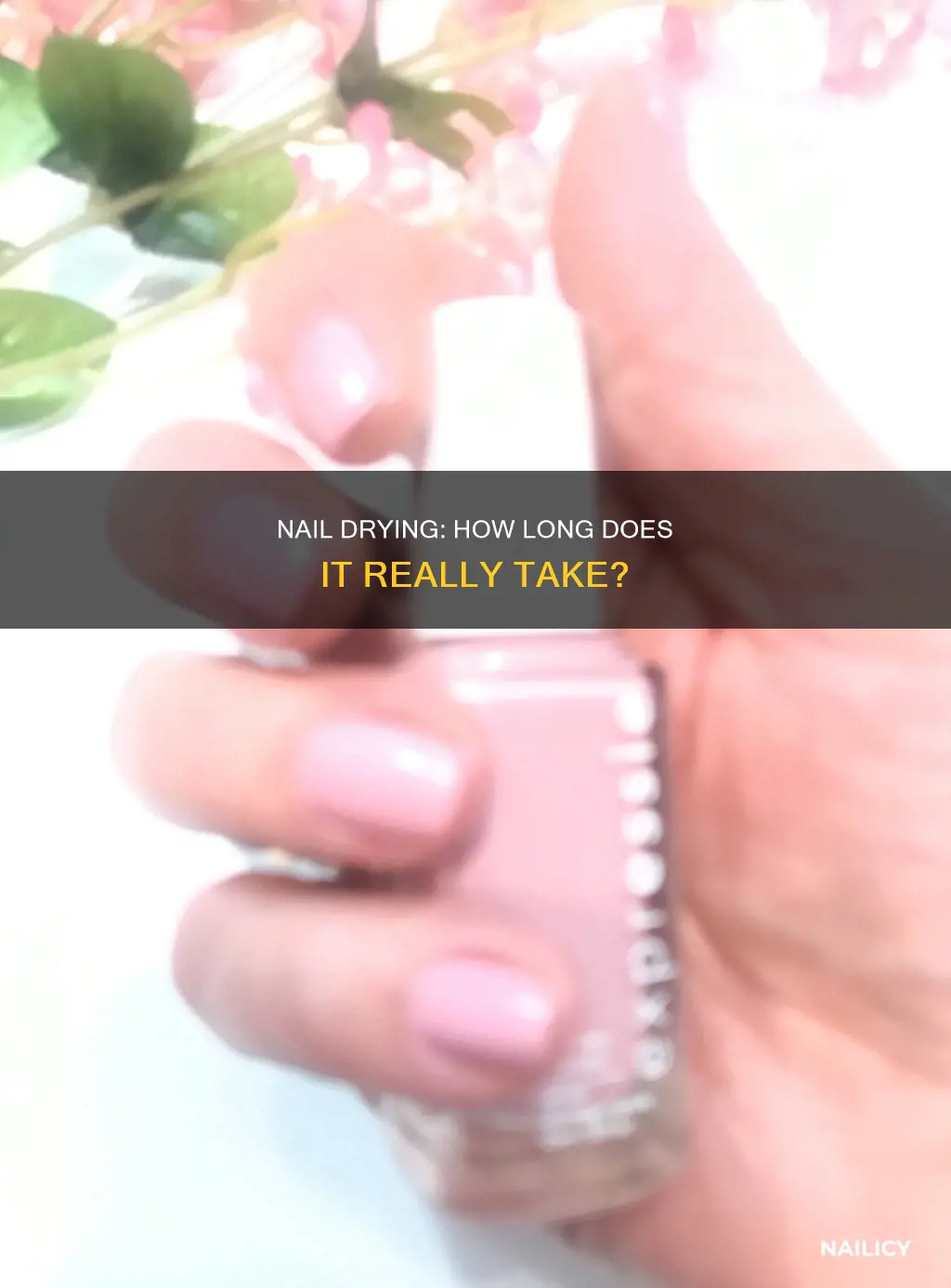 how long doesit take for nails todry