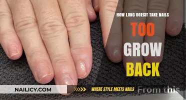 Nail Growth: How Long to Regrow Nails?