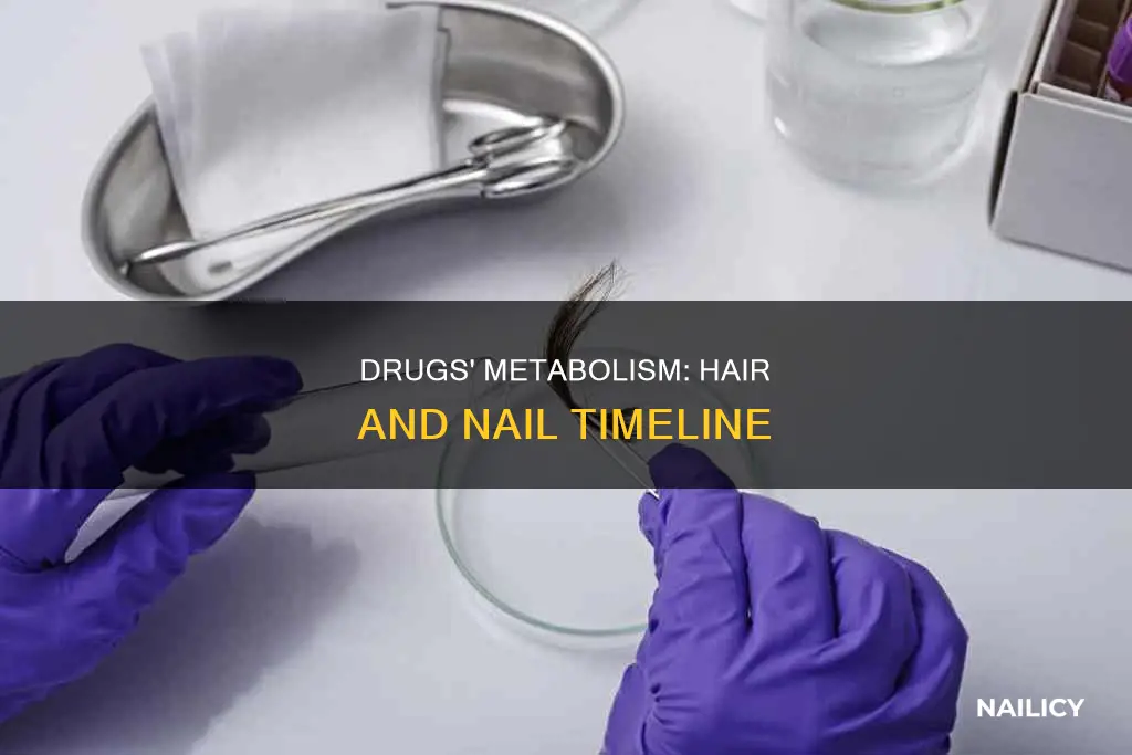 how long drugs take to metabolized on hair or nail