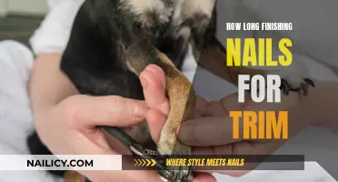 The Right Length of Finishing Nails for Trim Projects