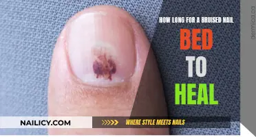 Healing a Bruised Nail Bed: What's the Timeline?