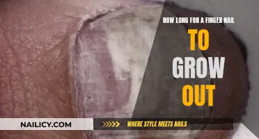 The Intriguing Growth Cycle of Fingernails