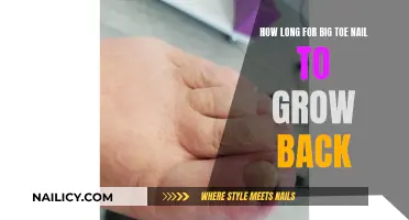 Big Toenail Regrowth: How Long Does It Take?