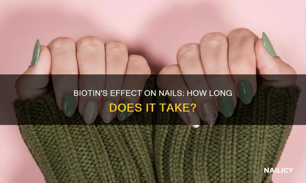 how long for biotin to work on nails