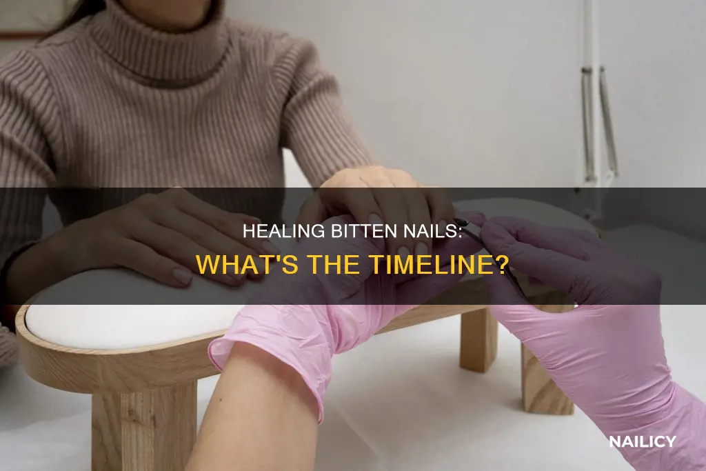 how long for bitten nails to recover