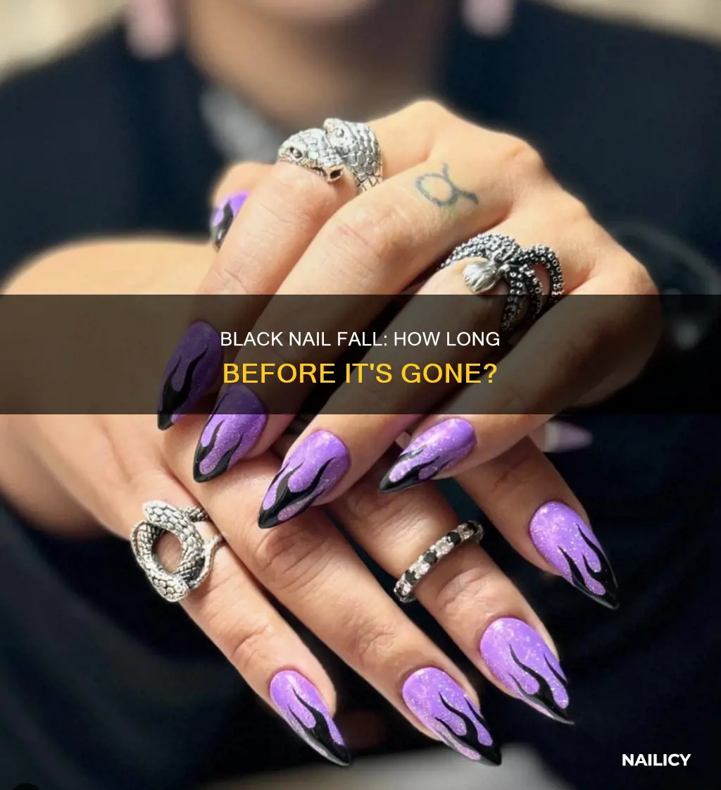 how long for black nail to fall off