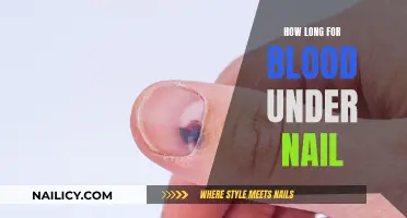 Blood Under Nails: How Long Does It Last?