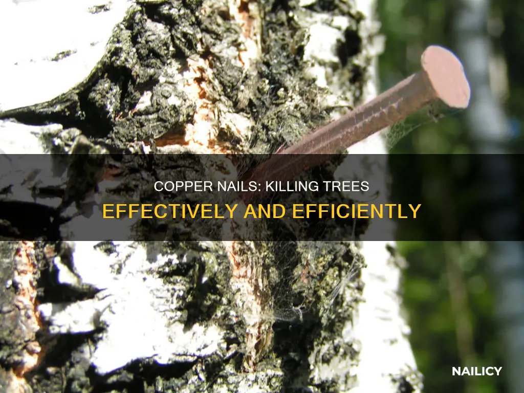 how long for copper nail to kill tree