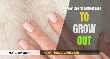 Damaged Nails: How Long to Recover and Regrow
