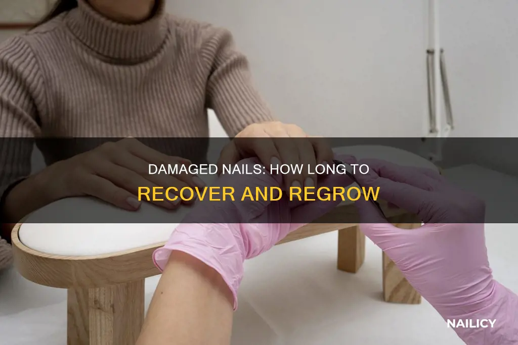 how long for damaged nails to grow out