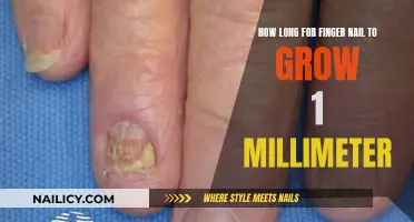 Unraveling the Mystery: Nail Growth Rate in Millimeters