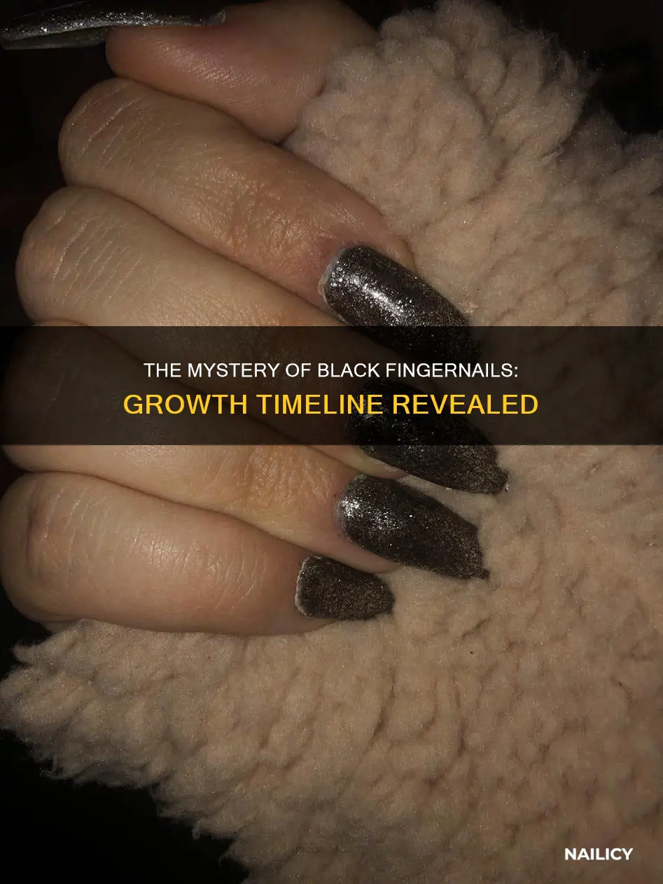 how long for finger nail to grow out black