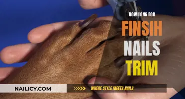 Nail Trimming: How Long Before You Need a Trim?