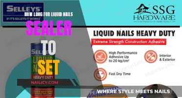 Liquid Nails Sealer: How Long to Set?