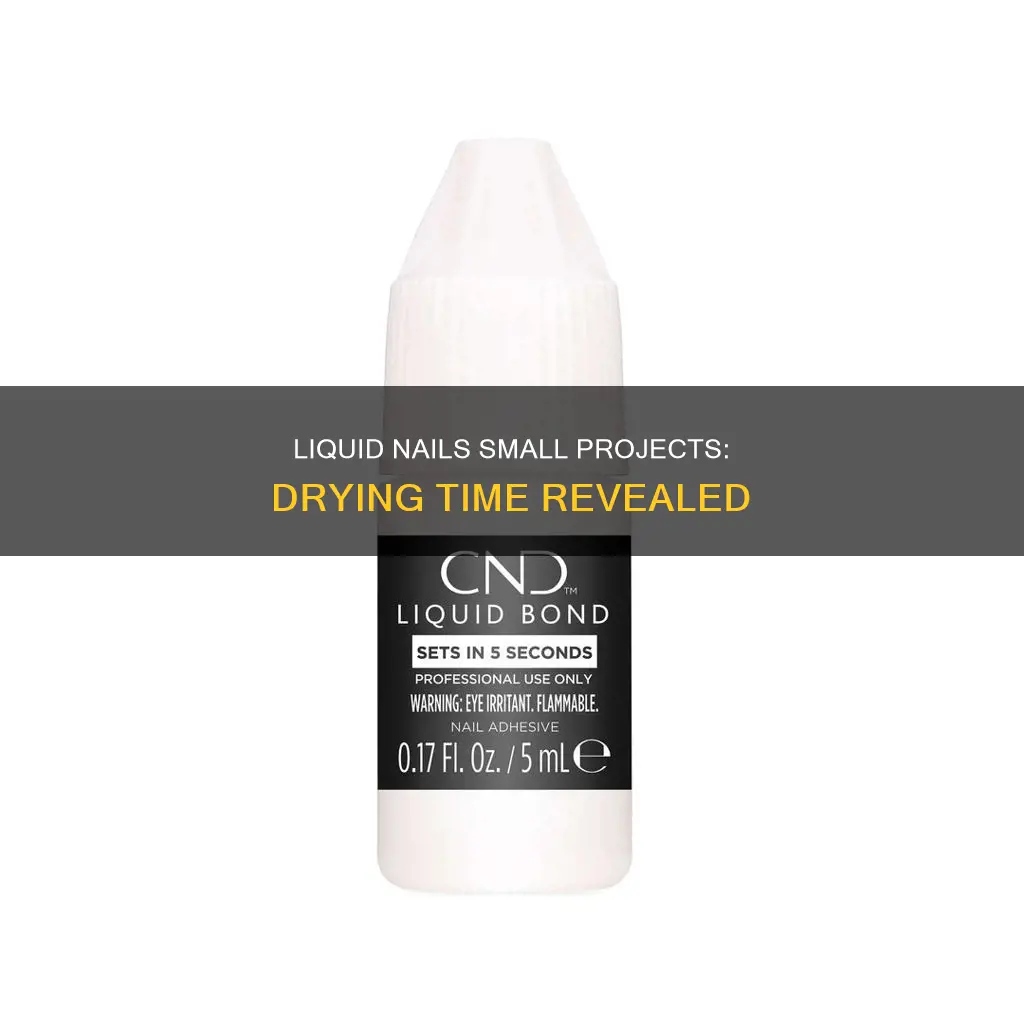 how long for liquid nails small projects to dry