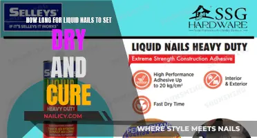 Liquid Nails: Drying, Setting, and Curing Time Explained