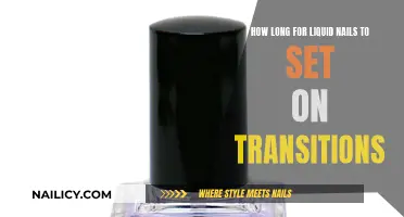 Liquid Nails Setting Time: Transitions and Drying