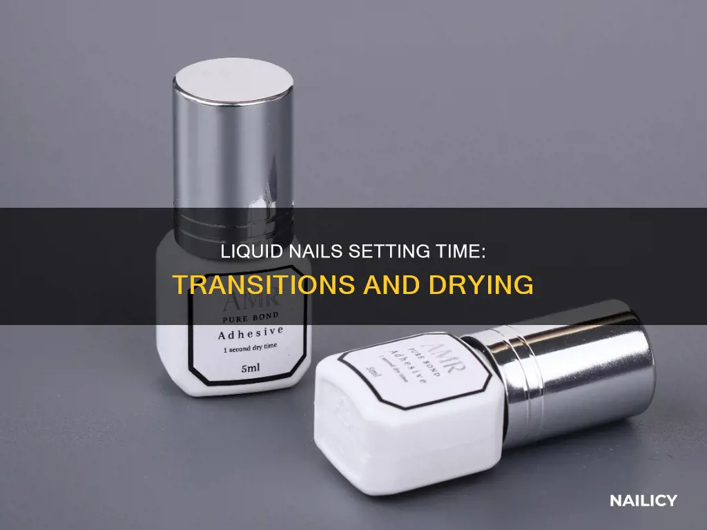 how long for liquid nails to set on transitions
