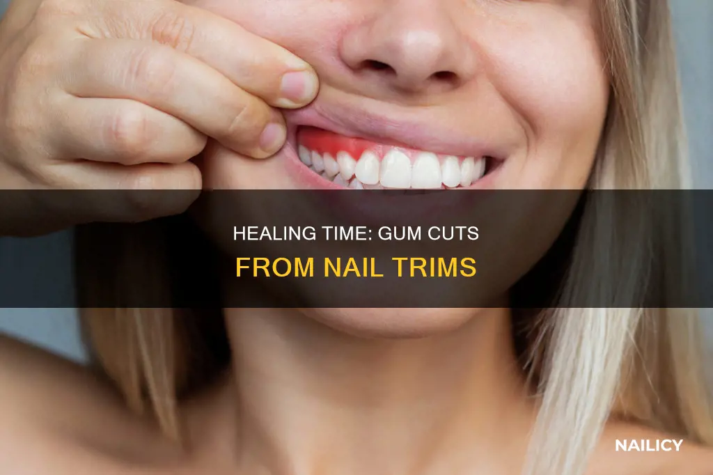 how long for nail cut to heal on gums