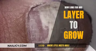 The Growth Cycle of Your Nails: How Long Does it Take?