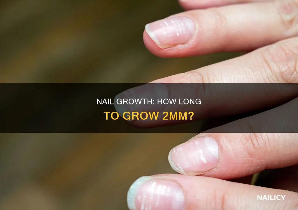 how long for nail to grow 2 mm