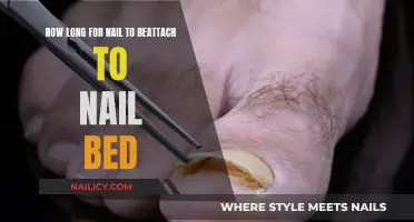 Reattaching Nails: How Long Before They're Secure?