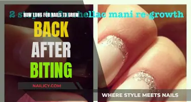 Regrowing Nails: Biting Recovery Timeline