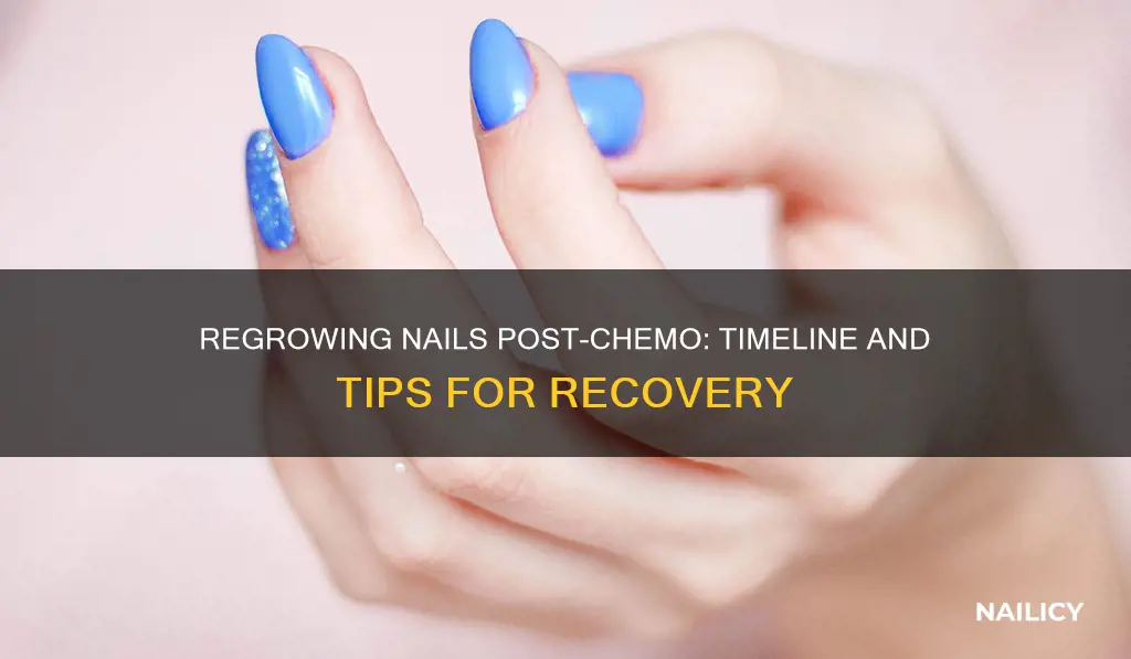 how long for nails to grow back after chemo