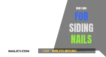 The Right Siding Nail Length: What You Need to Know