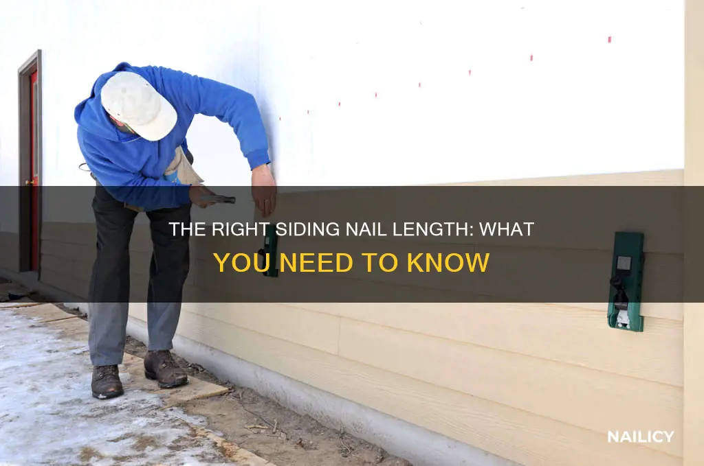 how long for siding nails