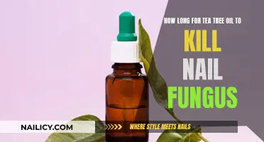 Tea Tree Oil: Killing Nail Fungus, How Long Does It Take?